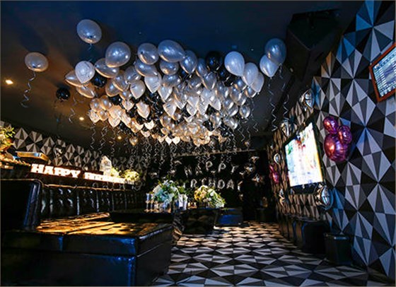 KTV 專業(yè)音響 KTV 專業(yè)音響