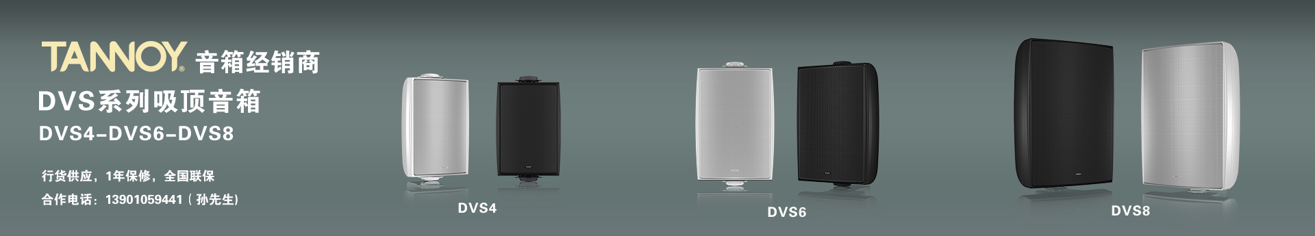 TANNOY DVS壁掛音箱，會(huì)議音響設(shè)備，展廳音箱